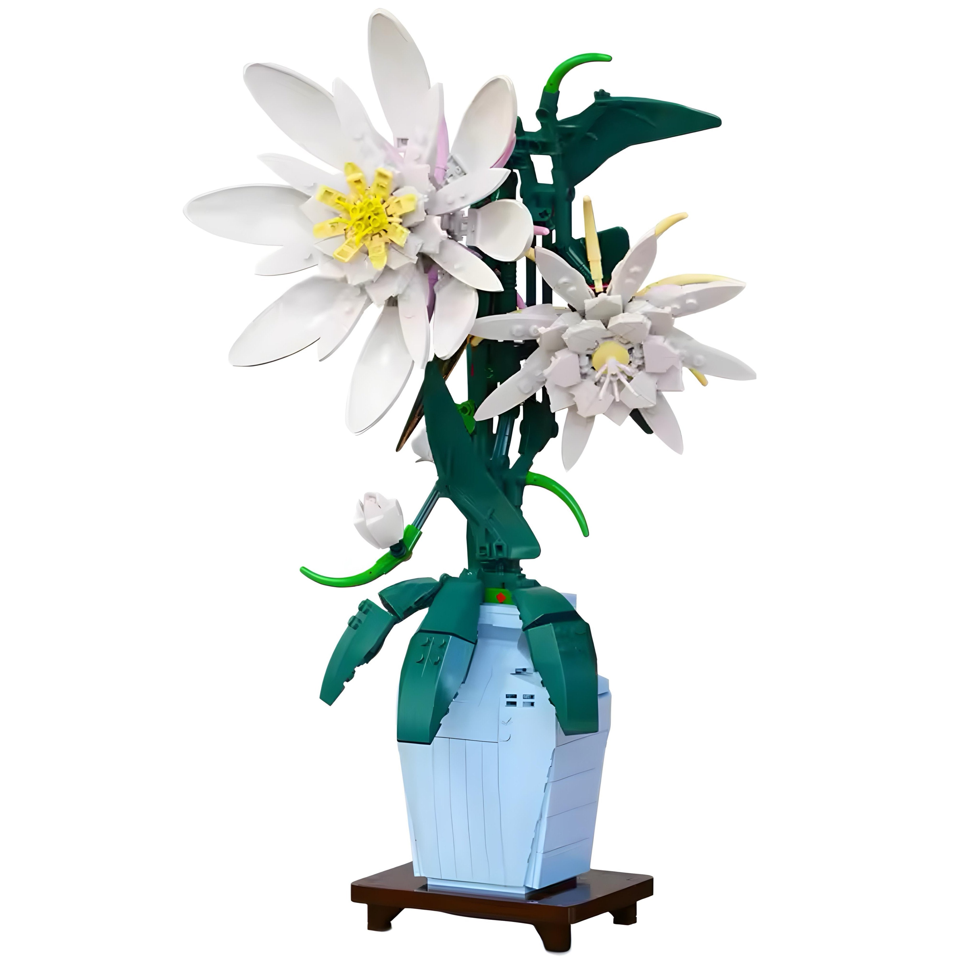 Epiphyllum | 568pcs