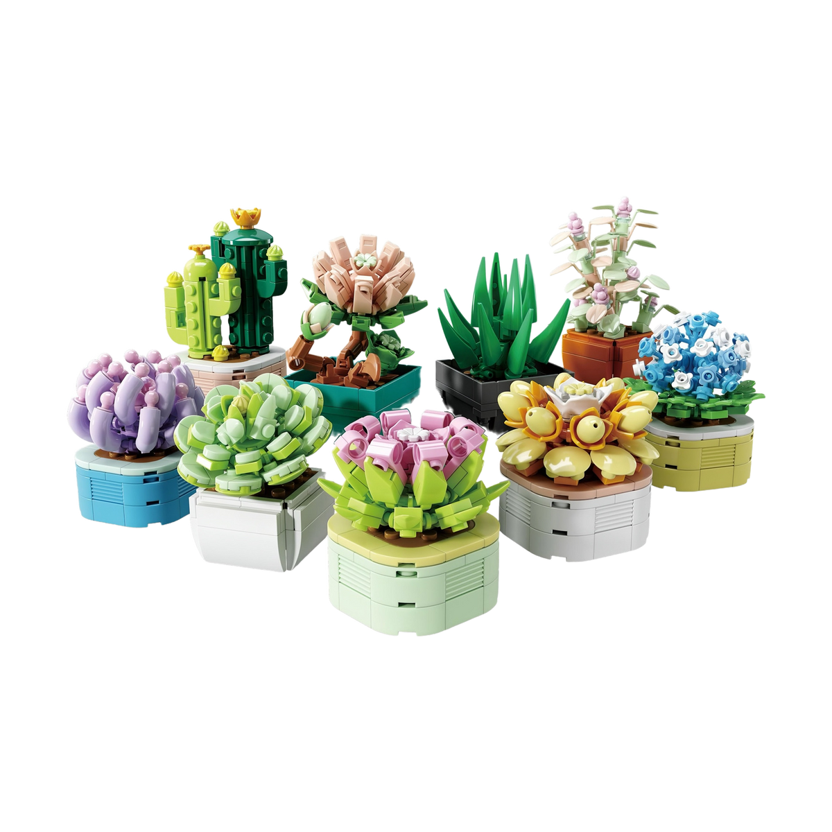 9 Plants Collection