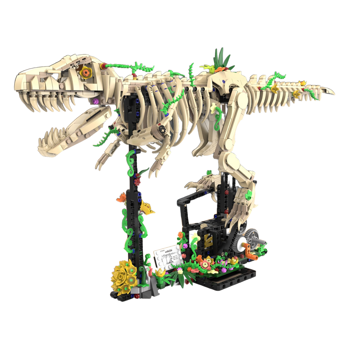 T-Rex Fossil Skeleton
